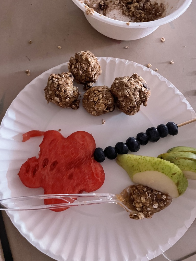Fruit and protein balls